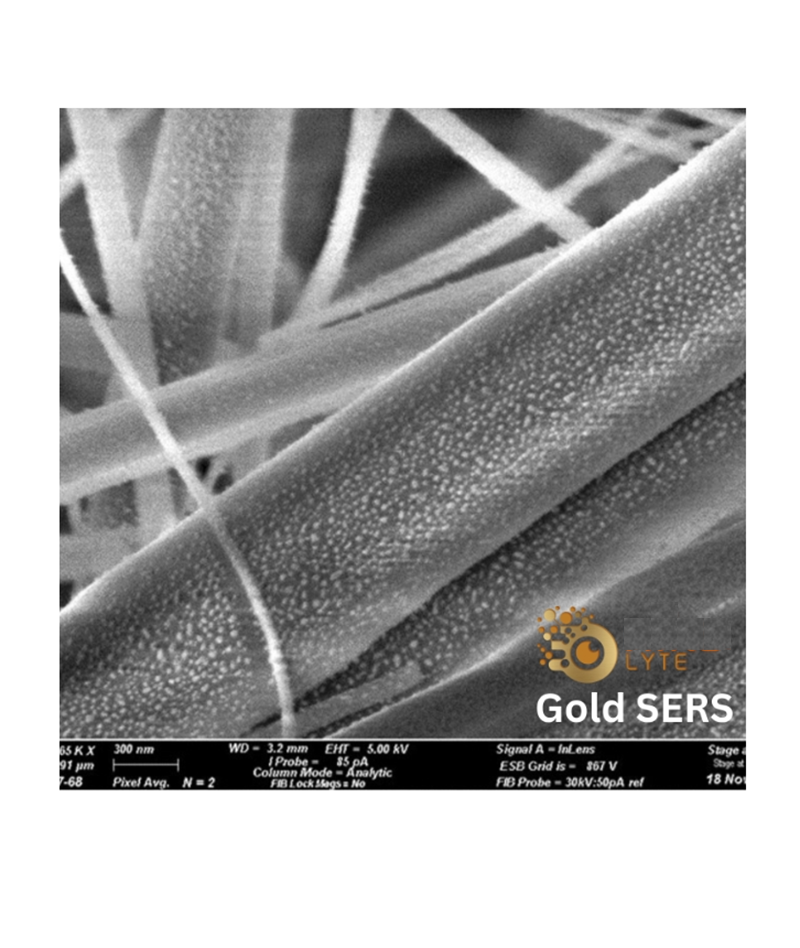 表面增强拉曼光谱（SERS)基片