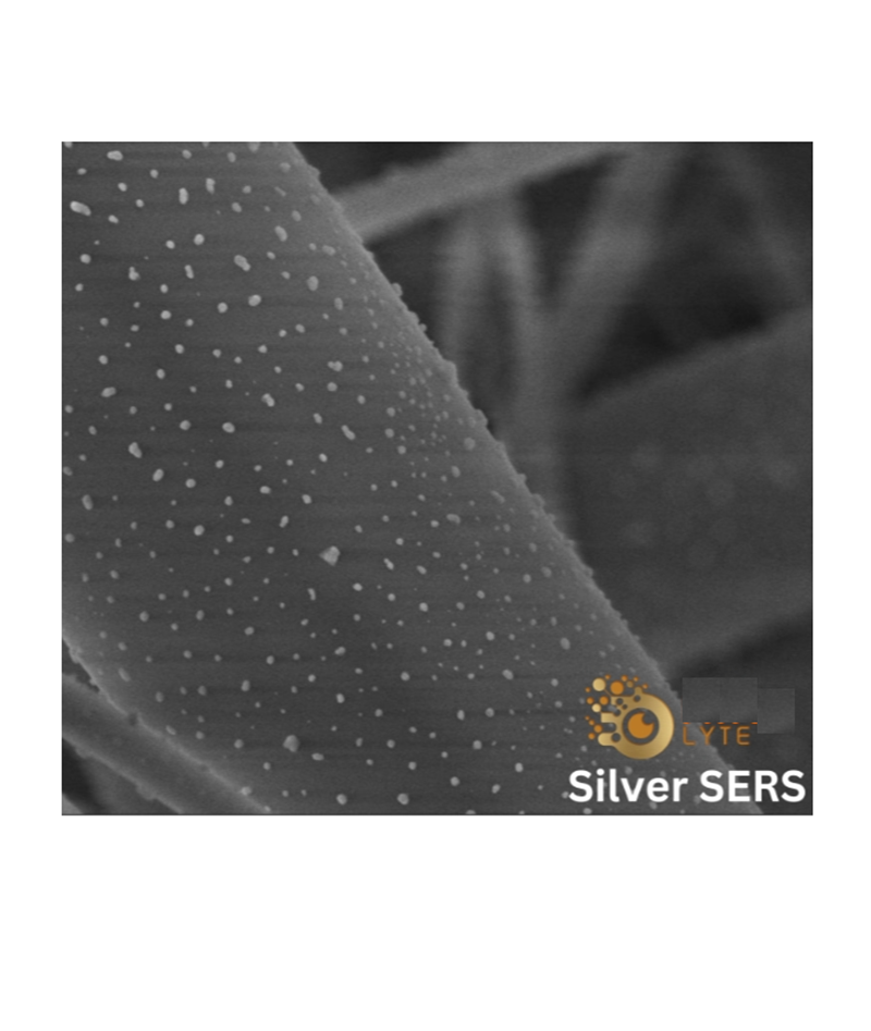 表面增强拉曼光谱（SERS)基片