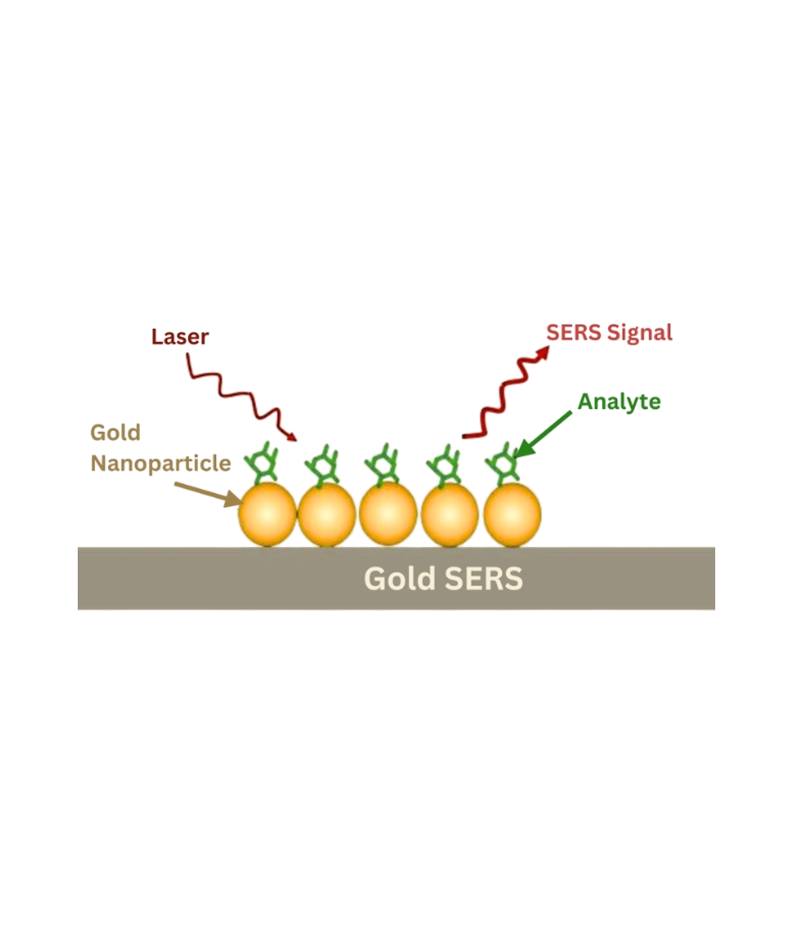 表面增强拉曼光谱（SERS)基片